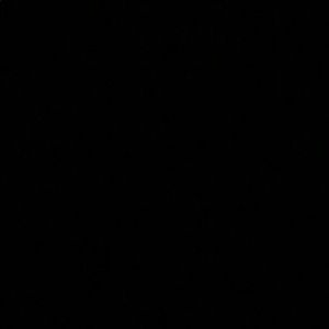 Meet your Posher, Juleeza